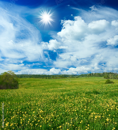 field