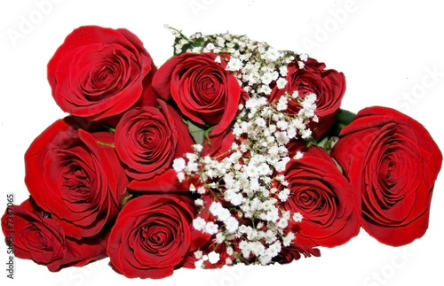 Red Roses
