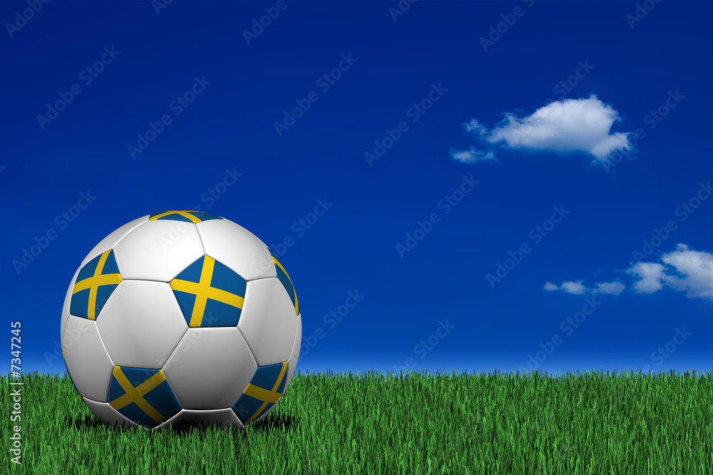 Fototapeta premium Swedish soccer ball