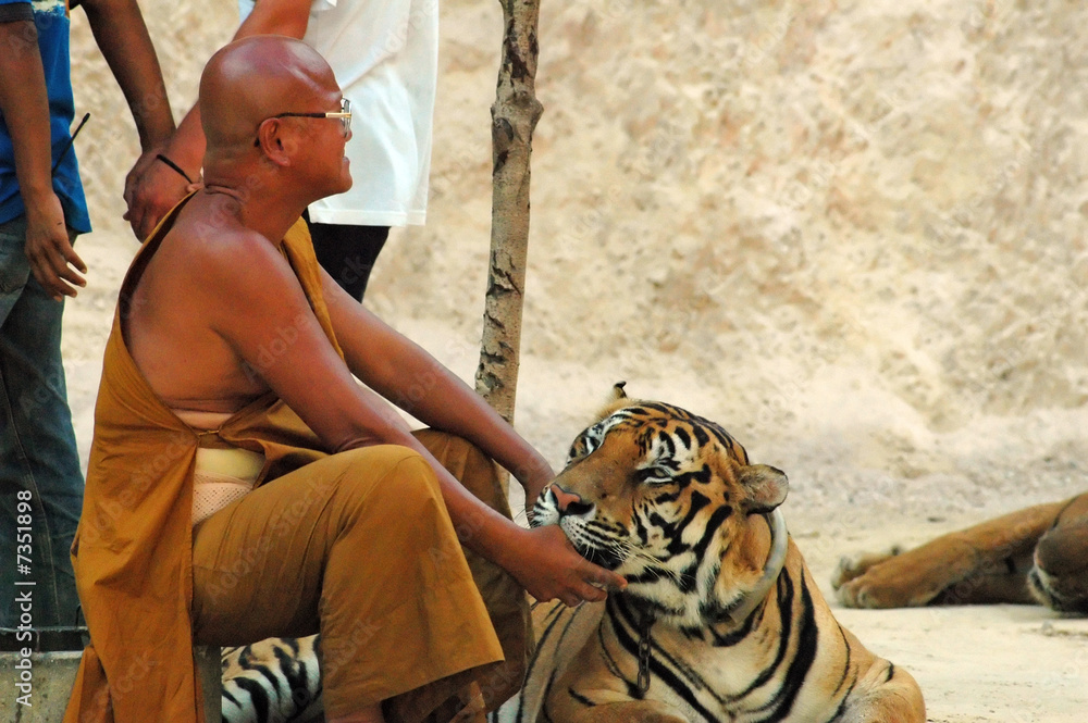 Fototapeta premium Tiger Temple, Kanchanaburi Thailand