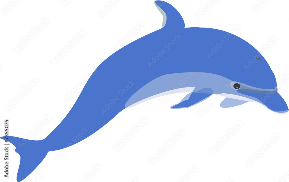 Fototapeta premium Dolphin