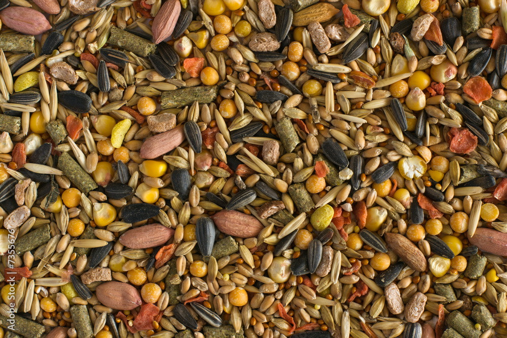 Hamster fodder texture Hamster fodder texture