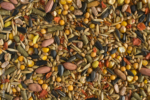 Hamster fodder texture