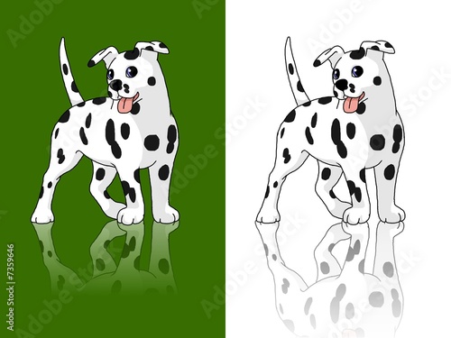 cucciolo dalmata 2 colori photo