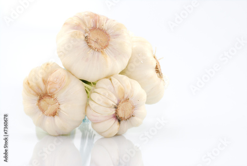 Garlic bunch