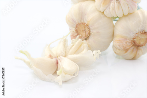 Garlics