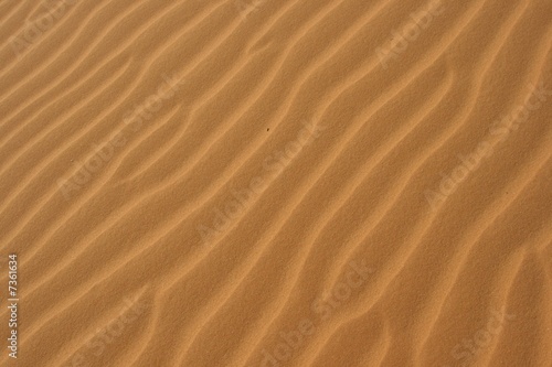 Desert Sand © Projest Photography