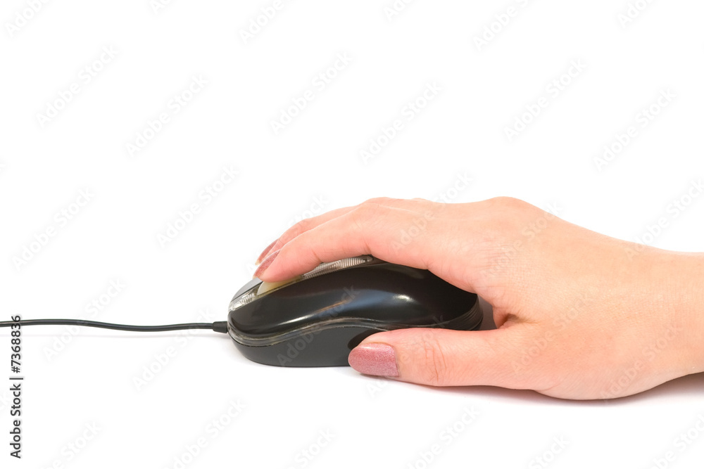mouse in hand mouse in hand