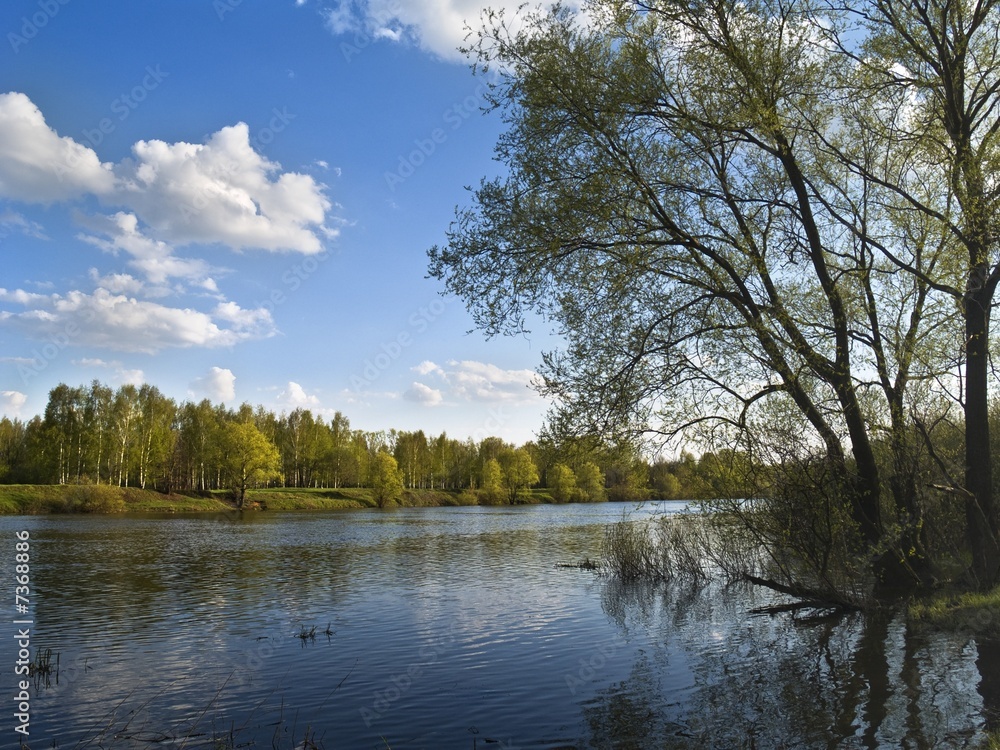 Fototapeta premium River view with sky and trees