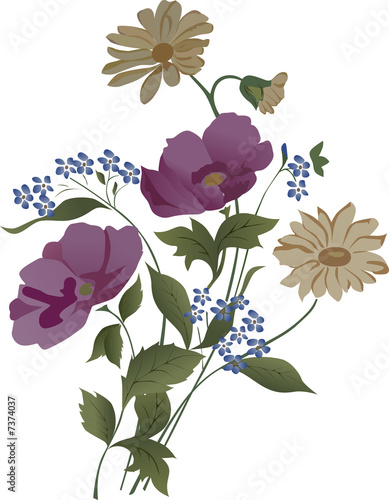 bouquet of wild flowers