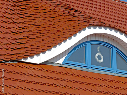 ochsenauge