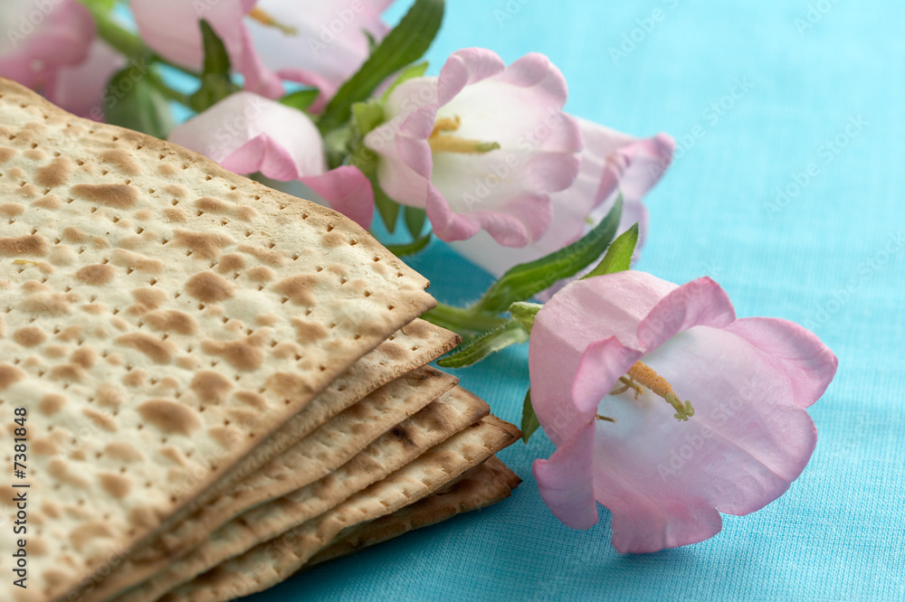 matzo. jewish passover bread with flowers. very shallow DOF matzo. jewish passover bread with flowers. very shallow DOF