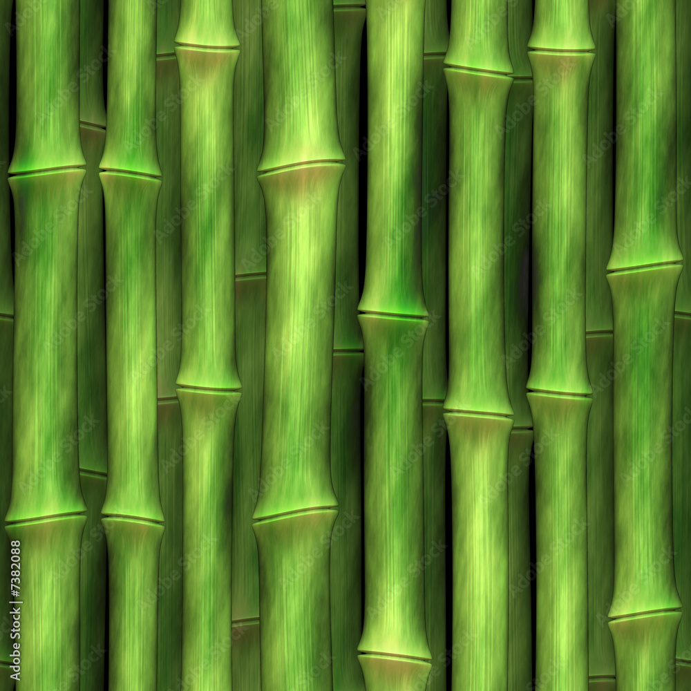 Obraz premium bamboo shoots