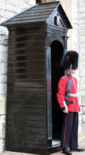 Obraz na plátně London Tower - Guard