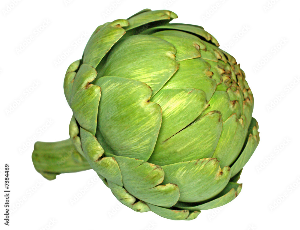 Obraz premium artichaut