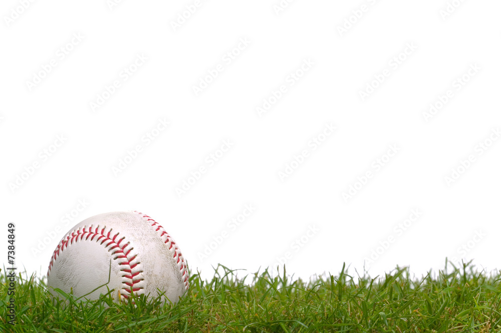 Baseball in the grass - obrazy, fototapety, plakaty 