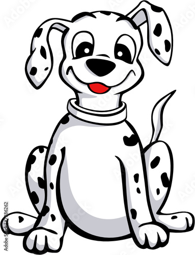 Cucciolo di dalmata