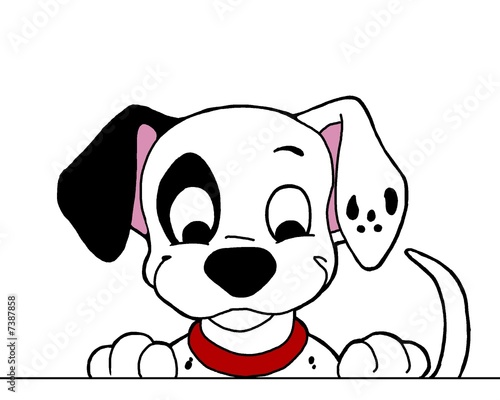 cucciolo curioso