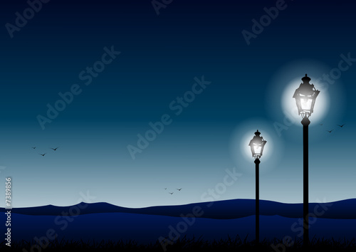 Streetlamp in a park by night
