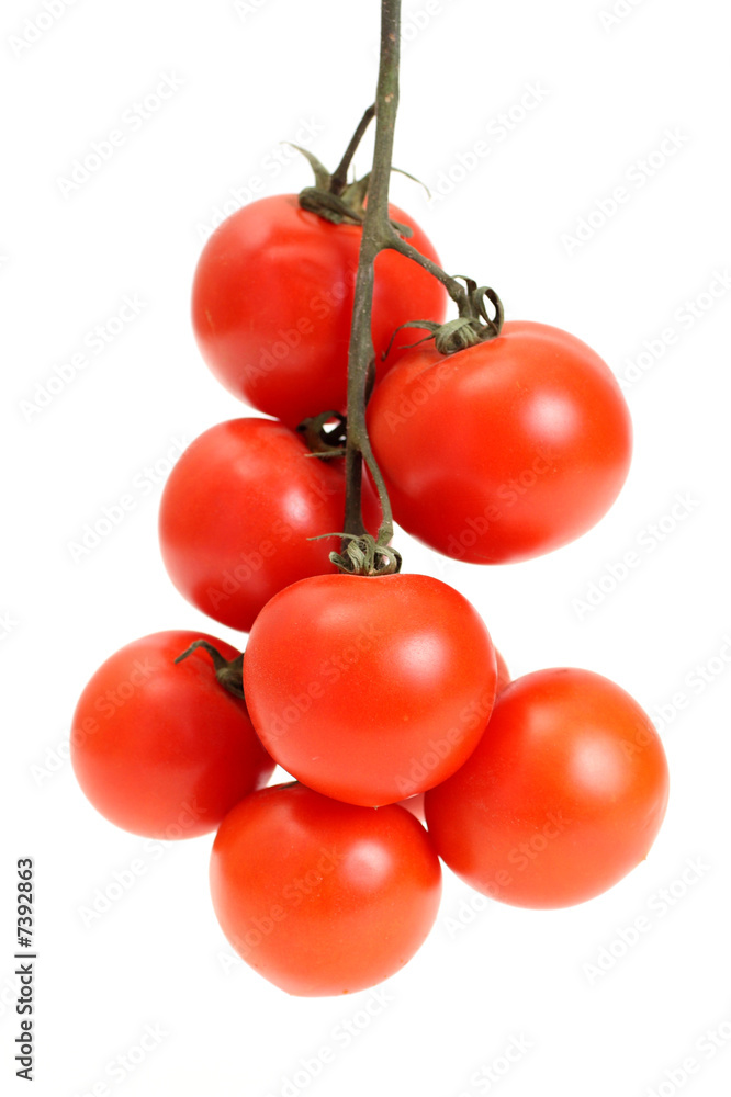 Group a tomato