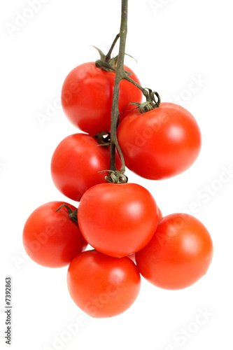 Obraz na płótnie Group a tomato w salonie