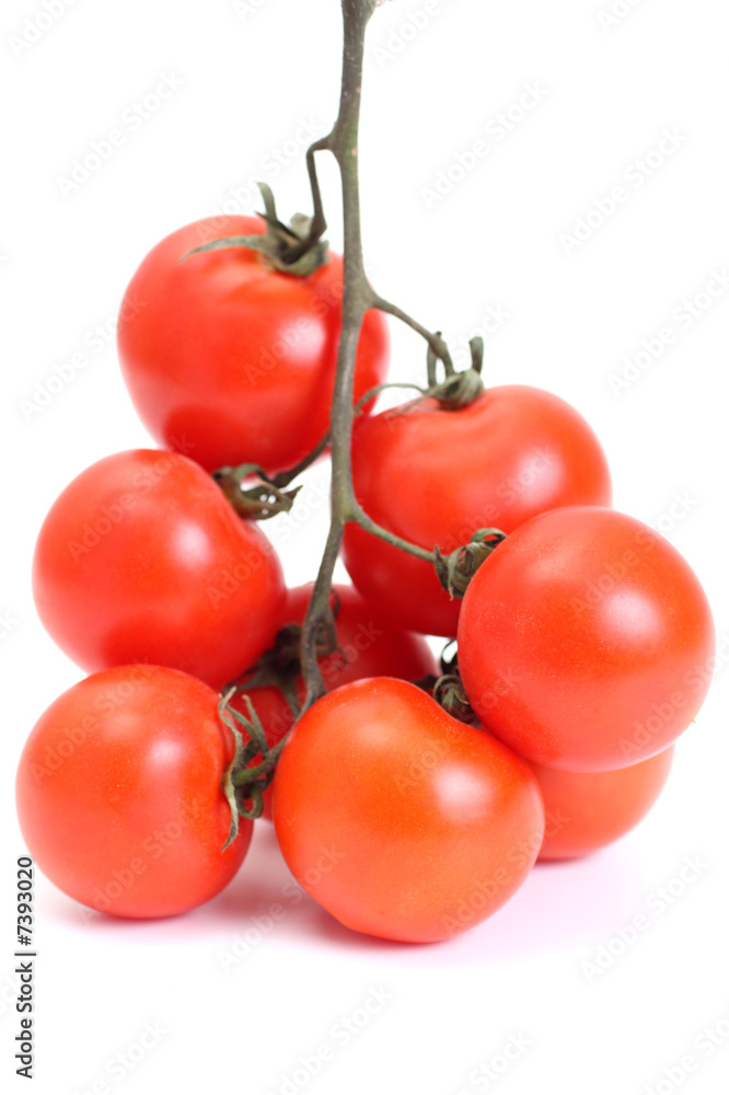 Group a tomato