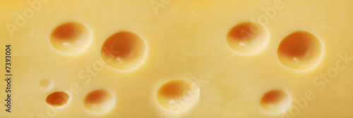 Closeup fresh and tasty cheese.
