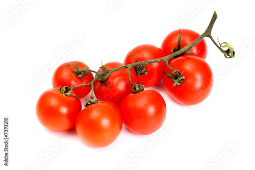 Obraz na płótnie Group a tomato w salonie