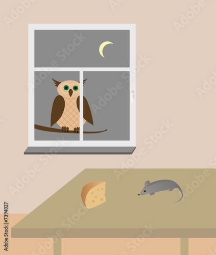 owl looking at mouse and cheese