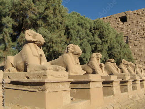 Sphinx Alley at Karnak Temple, Luxor - Egypt 