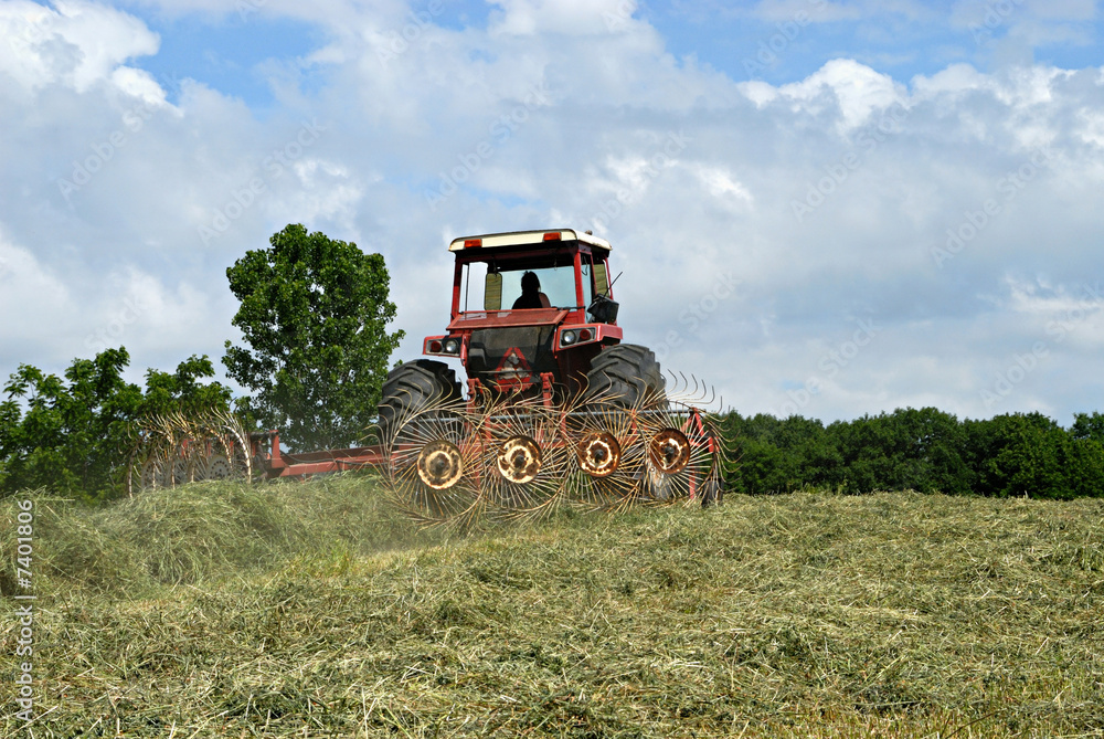 Naklejka premium Tractor Raking Hay