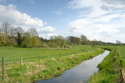 Weideland