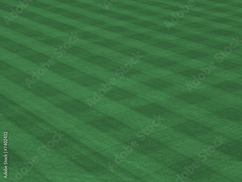 Perfect Turf