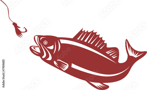 Bass attracted to a lure
