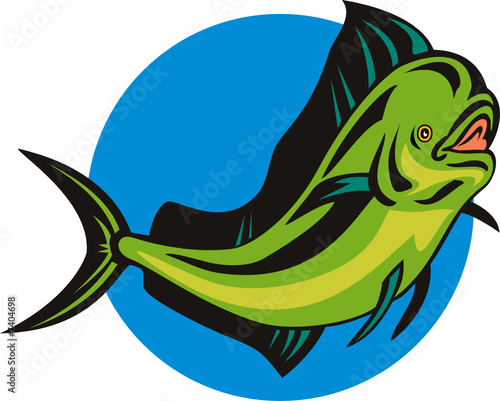 Dorado dolphin fish