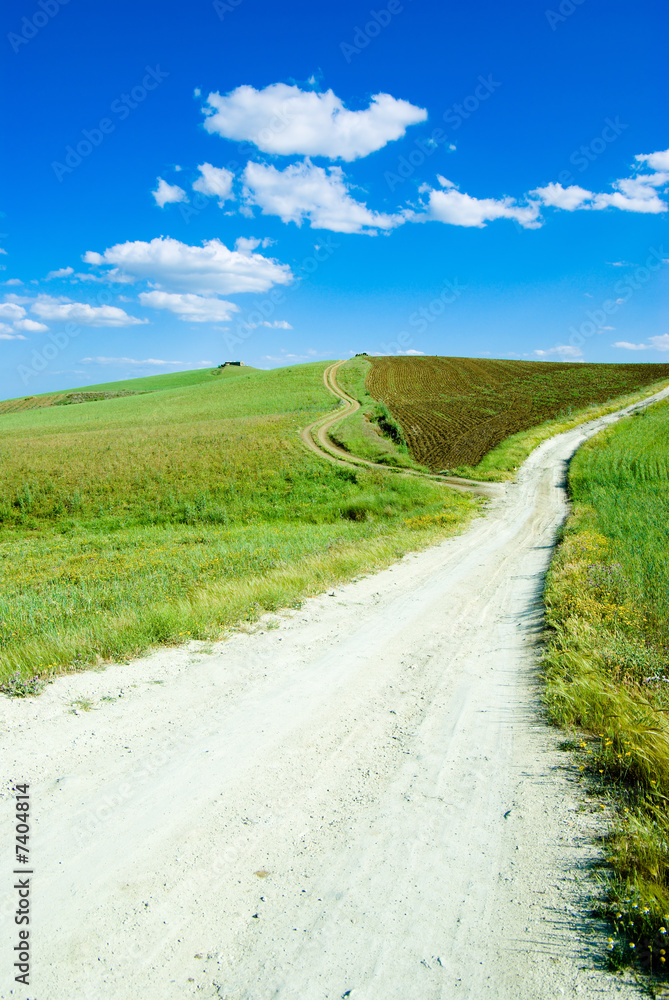 landscape for rural white path