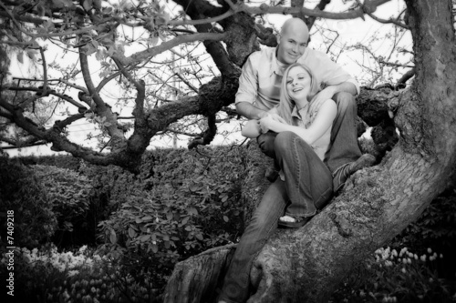 Couple in a tree