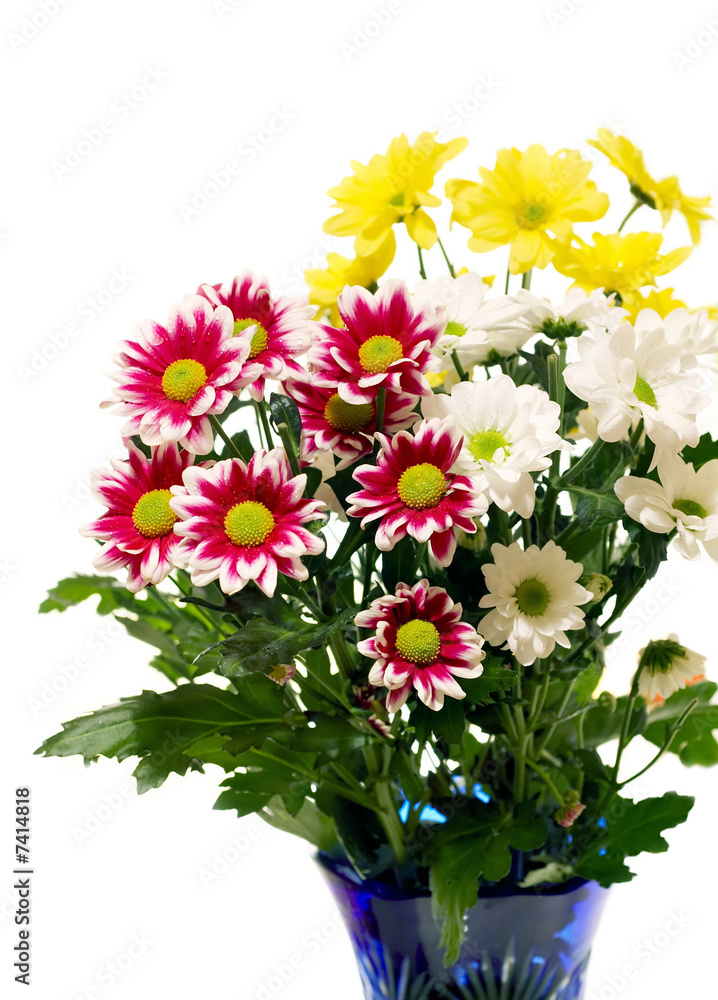 Fototapeta premium Bunch of flowers isolated on white background