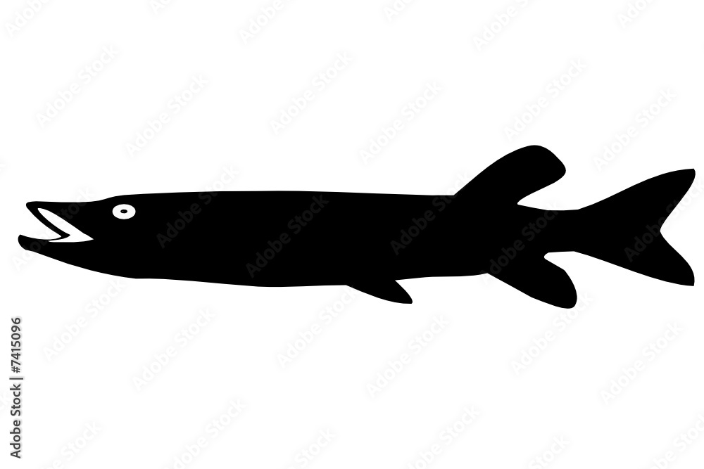 Pike Pike