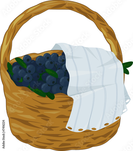 Blueberry basket