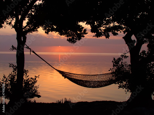 Beach Hammock