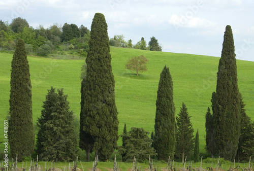 paesaggio