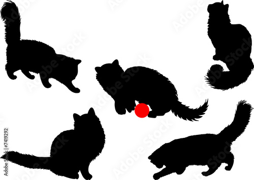Cat silhouettes