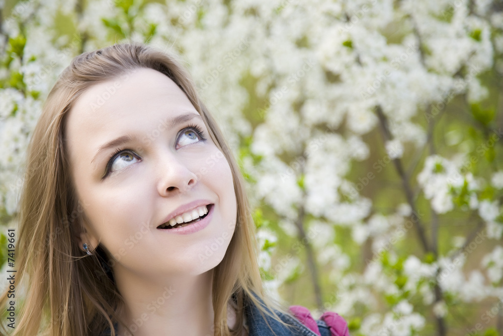 Fototapeta premium Spring