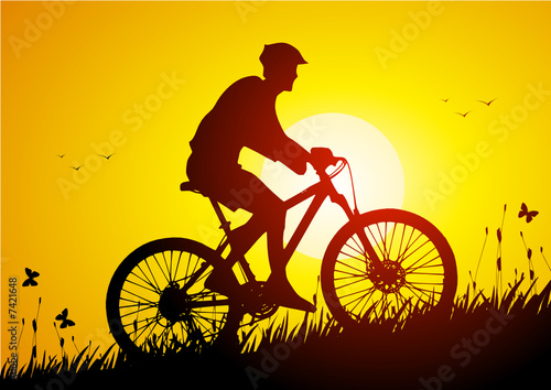 Mountain bike in a meadow at sunset