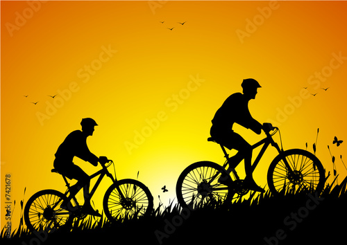 Mountain bike in a meadow at sunset