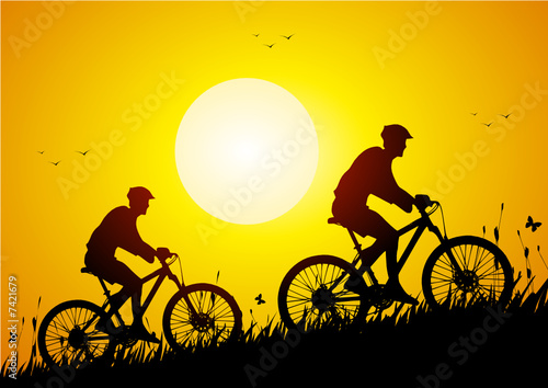 Mountain bike in a meadow at sunset