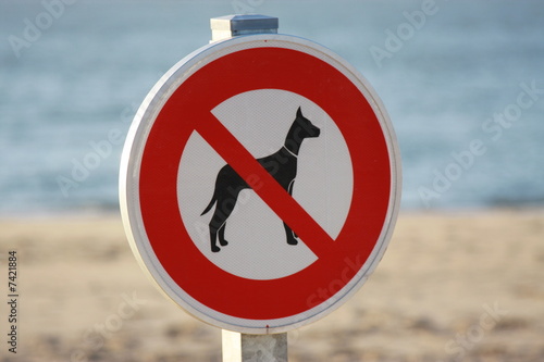 interdit aux chiens