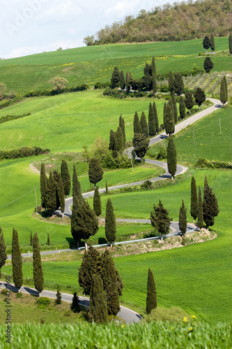 tuscany green nature