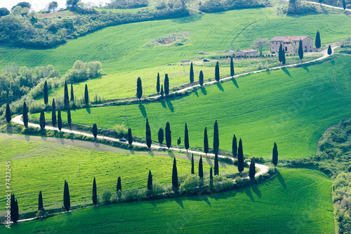 tuscany green nature